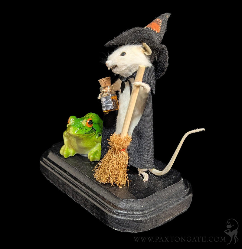 Witch with Frog Mouse Taxidermy-Taxidermy-Classic mouse parade-PaxtonGate