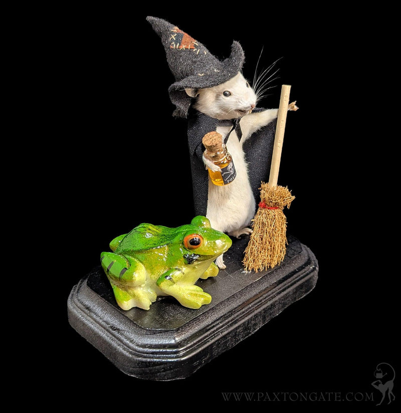 Witch with Frog Mouse Taxidermy-Taxidermy-Classic mouse parade-PaxtonGate