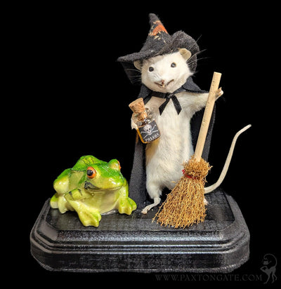 Witch with Frog Mouse Taxidermy-Taxidermy-Classic mouse parade-PaxtonGate