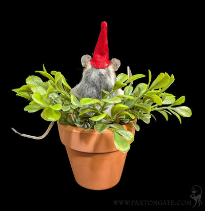 Gnome Mouse Taxidermy-Taxidermy-Classic mouse parade-PaxtonGate