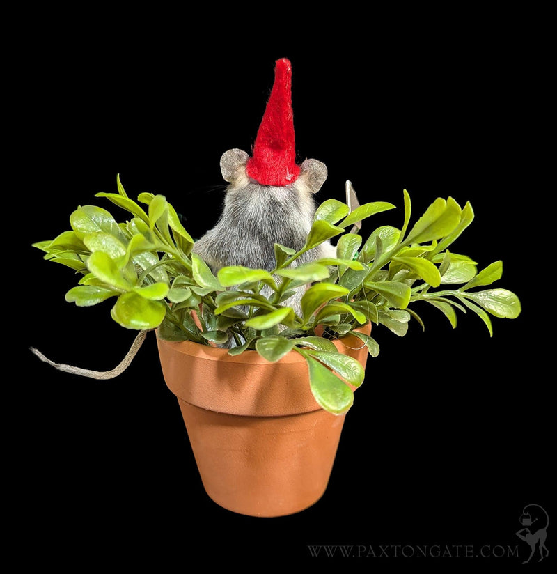 Gnome Mouse Taxidermy-Taxidermy-Classic mouse parade-PaxtonGate