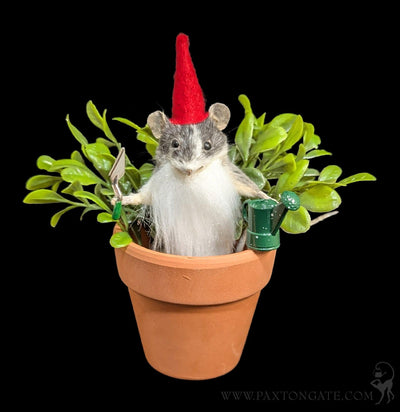 Gnome Mouse Taxidermy-Taxidermy-Classic mouse parade-PaxtonGate
