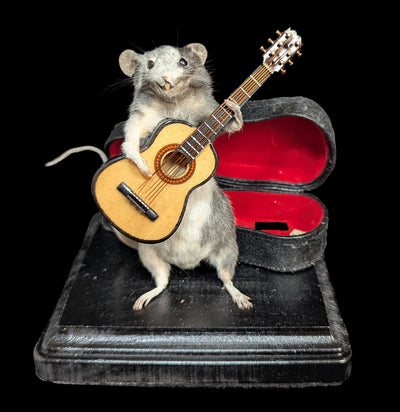 Guitar Mouse Taxidermy-Taxidermy-Classic mouse parade-PaxtonGate