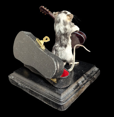 Guitar Mouse Taxidermy-Taxidermy-Classic mouse parade-PaxtonGate