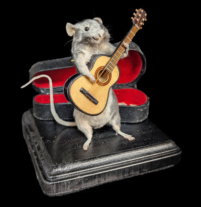 Guitar Mouse Taxidermy-Taxidermy-Classic mouse parade-PaxtonGate