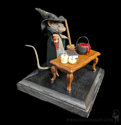 Black Magic Witch Taxidermy Mouse-Taxidermy-Classic mouse parade-PaxtonGate