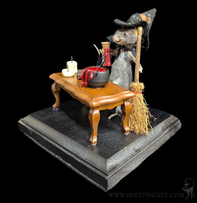 Black Magic Witch Taxidermy Mouse-Taxidermy-Classic mouse parade-PaxtonGate