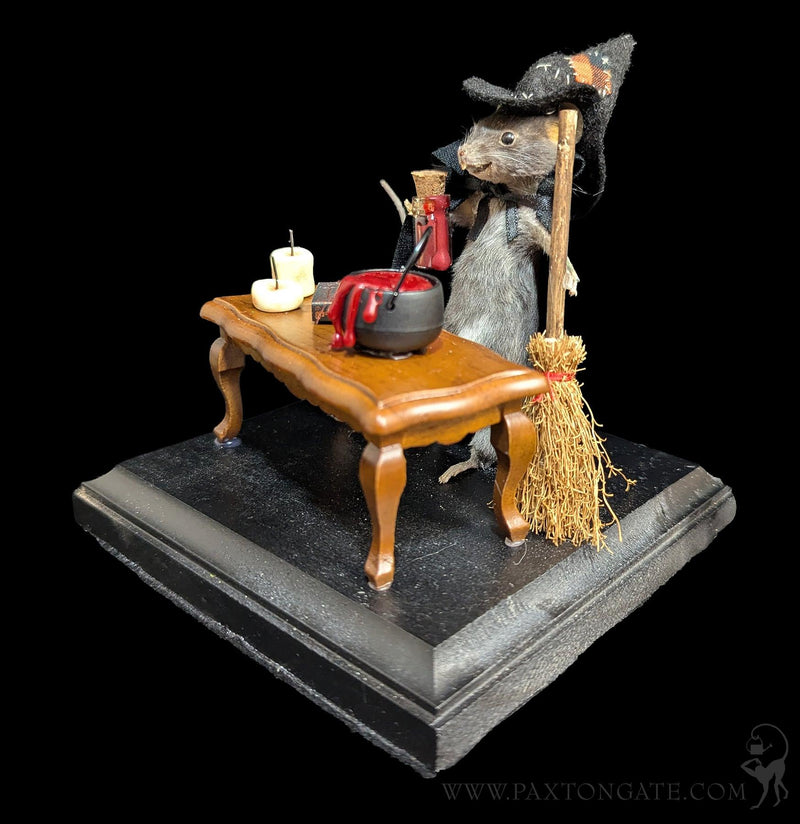 Black Magic Witch Taxidermy Mouse-Taxidermy-Classic mouse parade-PaxtonGate