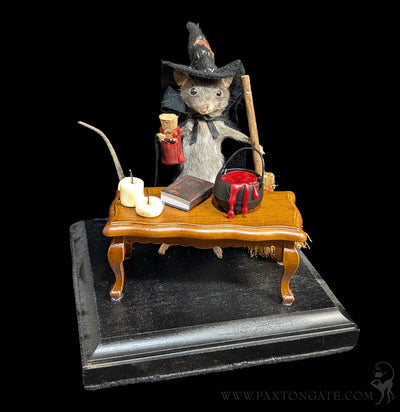 Black Magic Witch Taxidermy Mouse-Taxidermy-Classic mouse parade-PaxtonGate