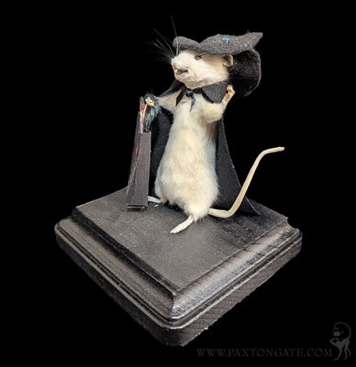 Trick-or-Treat Witch Taxidermy Mouse-Taxidermy-Classic mouse parade-PaxtonGate
