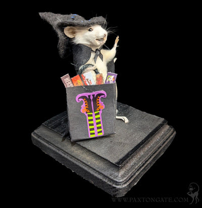 Trick-or-Treat Witch Taxidermy Mouse-Taxidermy-Classic mouse parade-PaxtonGate