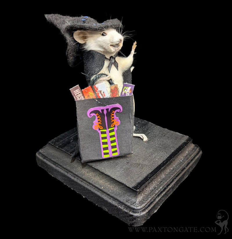 Trick-or-Treat Witch Taxidermy Mouse-Taxidermy-Classic mouse parade-PaxtonGate