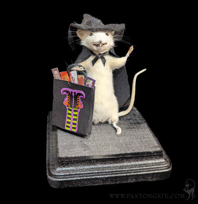 Trick-or-Treat Witch Taxidermy Mouse-Taxidermy-Classic mouse parade-PaxtonGate