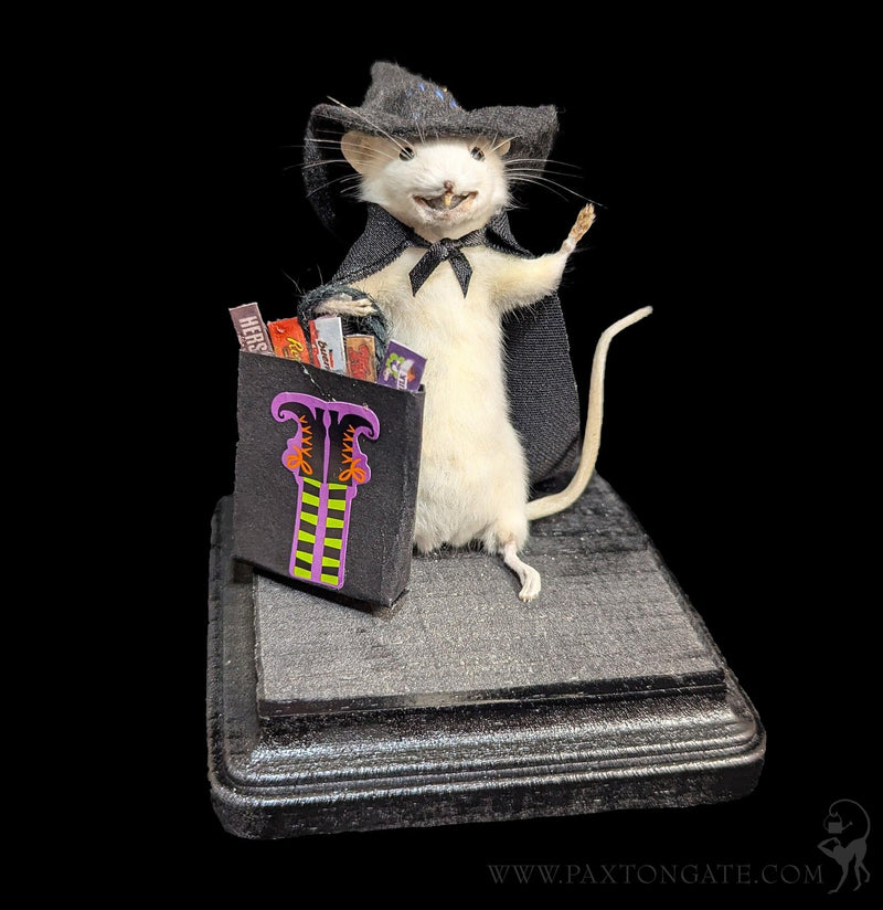 Trick-or-Treat Witch Taxidermy Mouse-Taxidermy-Classic mouse parade-PaxtonGate