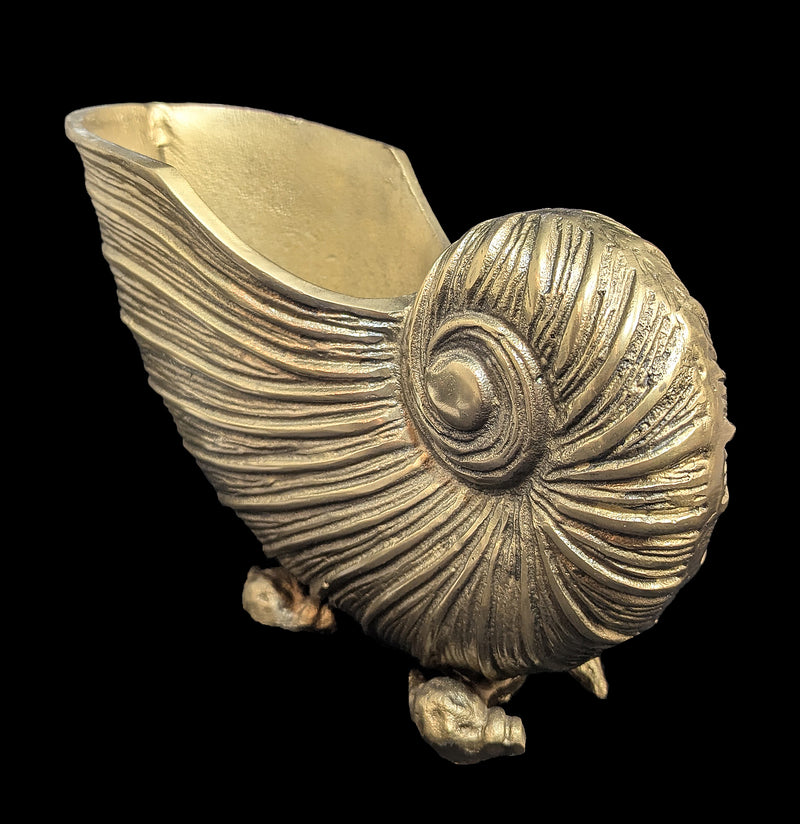 Nautilus Shell Bucket-Kitchen-DDecorStore-PaxtonGate