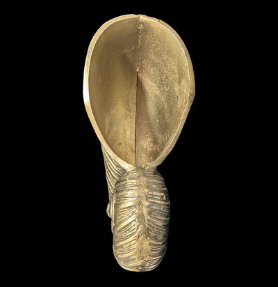 Nautilus Shell Bucket-Kitchen-DDecorStore-PaxtonGate