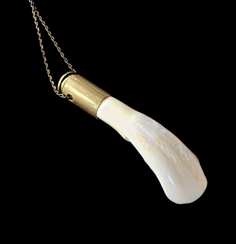 Buffalo Tooth Necklace-Necklaces-Astali-PaxtonGate
