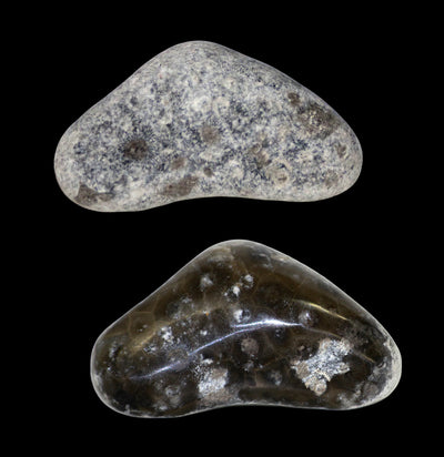 Petoskey Stone Polishing Kit-Minerals-Keweenaw Gem & Gift Inc.-PaxtonGate