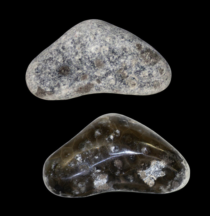 Petoskey Stone Polishing Kit-Minerals-Keweenaw Gem & Gift Inc.-PaxtonGate