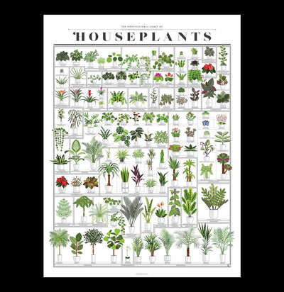 Horticultural Chart of Houseplants-Prints-Pop Chart-PaxtonGate