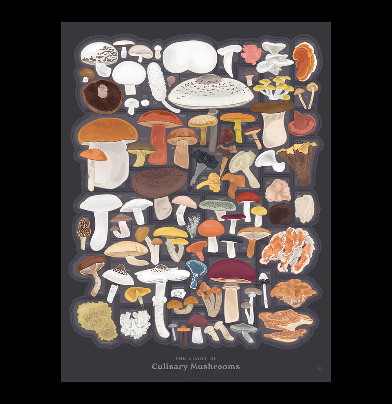 Chart of Culinary Mushrooms-Prints-Pop Chart-PaxtonGate