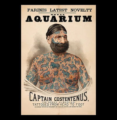 Captain Costentenus Poster-Posters-Bristol & London-PaxtonGate