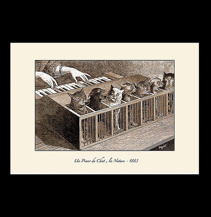 Cat Piano Print-Posters-Bristol & London-PaxtonGate