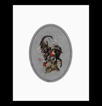 Black Goat Art Print-Prints-Open Sea-PaxtonGate