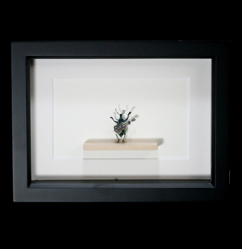 Framed Acoustic Guitar Beetle Diorama-Insects-Bug Under Glass-PaxtonGate