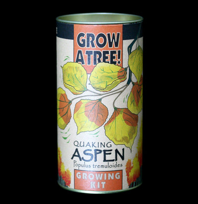 Quaking Aspen Seed Grow Kit - Paxton Gate