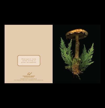 Deep Dark Forest Mushroom Notecards-Cards-Chronicle Books/Hachette-PaxtonGate