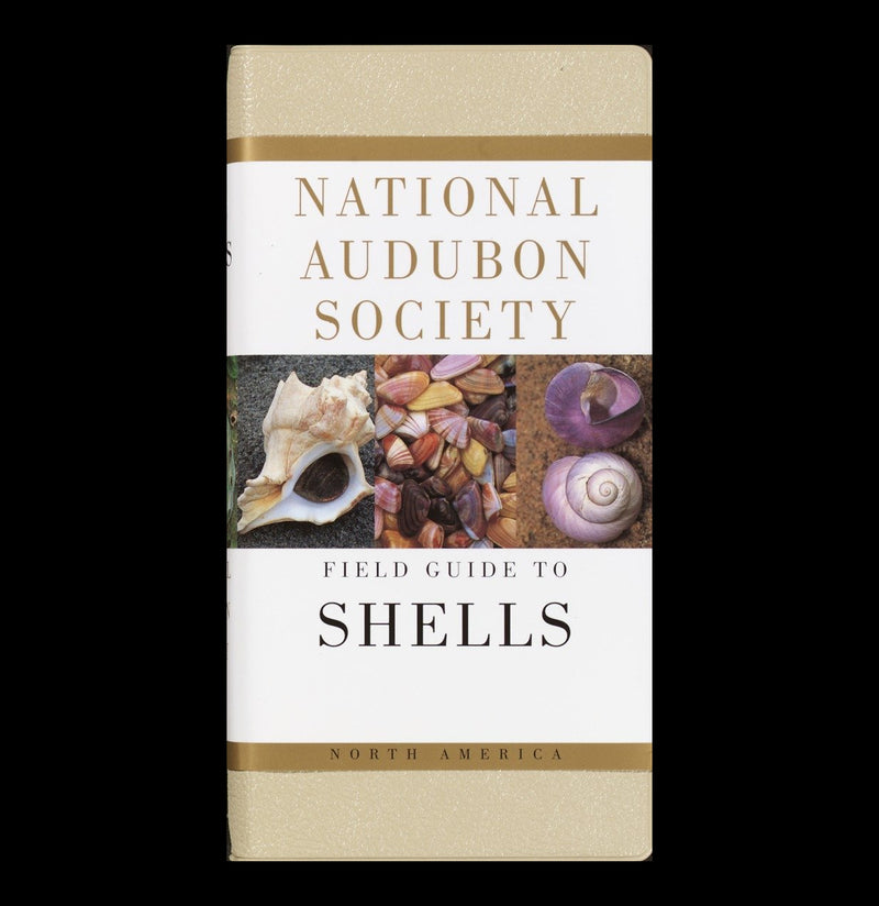 National Audubon Society Field Guide to Shells-Books-Penguin Random House-PaxtonGate