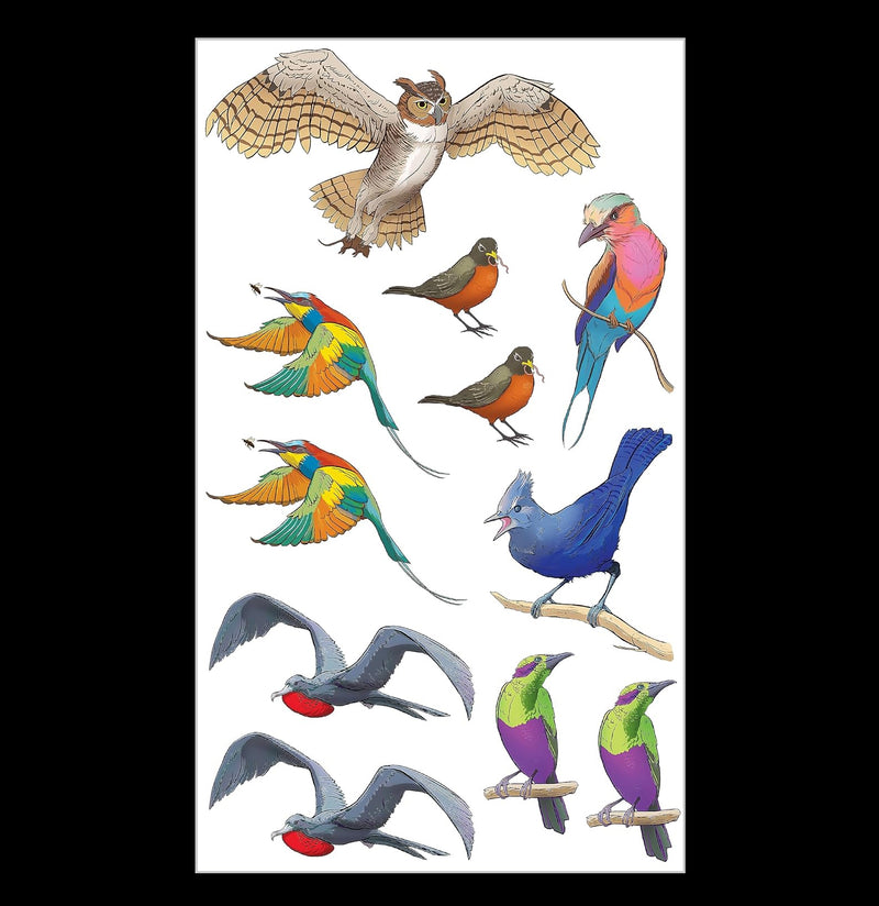 Soaring, Singing Tattoo Birds: 50 Temporary Tattoos That Teach-Books-Hachette Book Group-PaxtonGate
