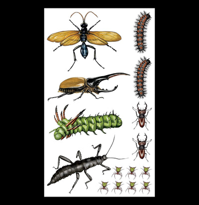 Creepy, Crawly Tattoo Bugs: 60 Temporary Tattoos That Teach-Books-Hachette Book Group-PaxtonGate