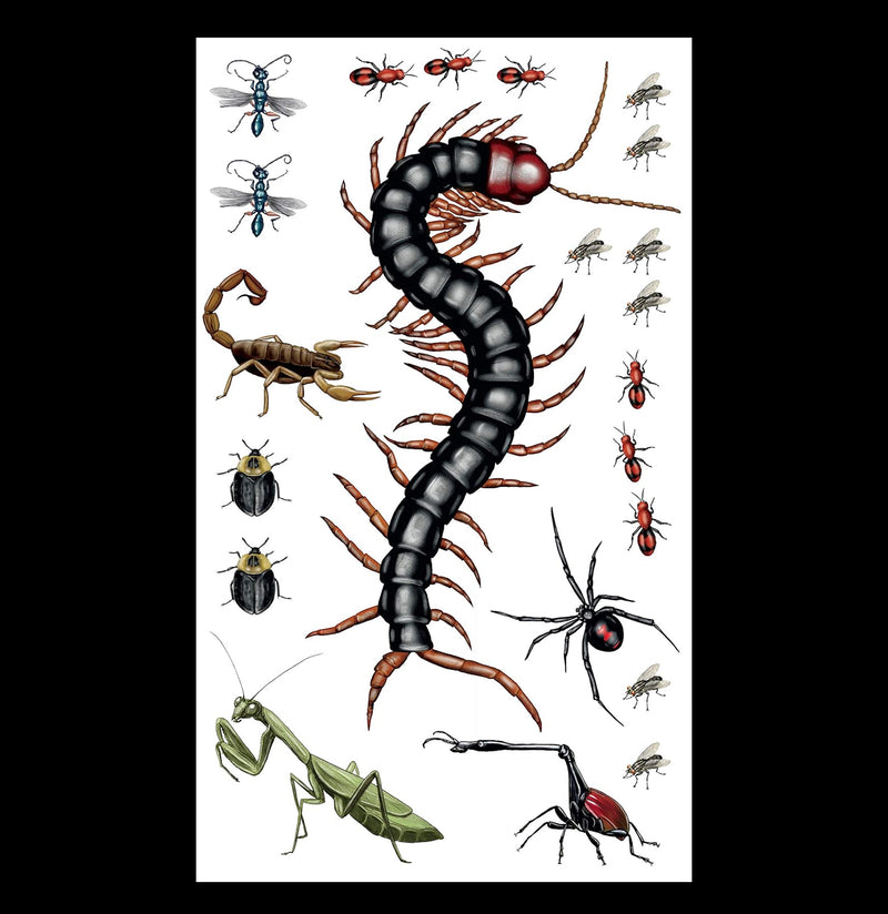Creepy, Crawly Tattoo Bugs: 60 Temporary Tattoos That Teach-Books-Hachette Book Group-PaxtonGate