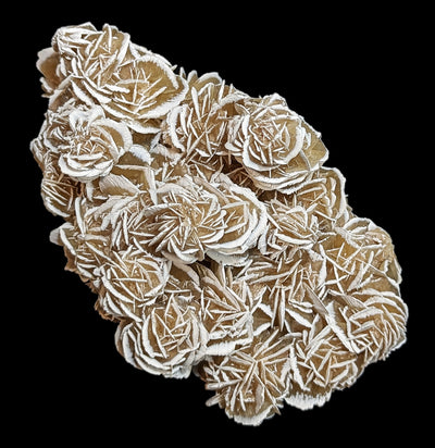 Large Desert Rose Specimen-Minerals-Holguin Mexican Minerals-PaxtonGate