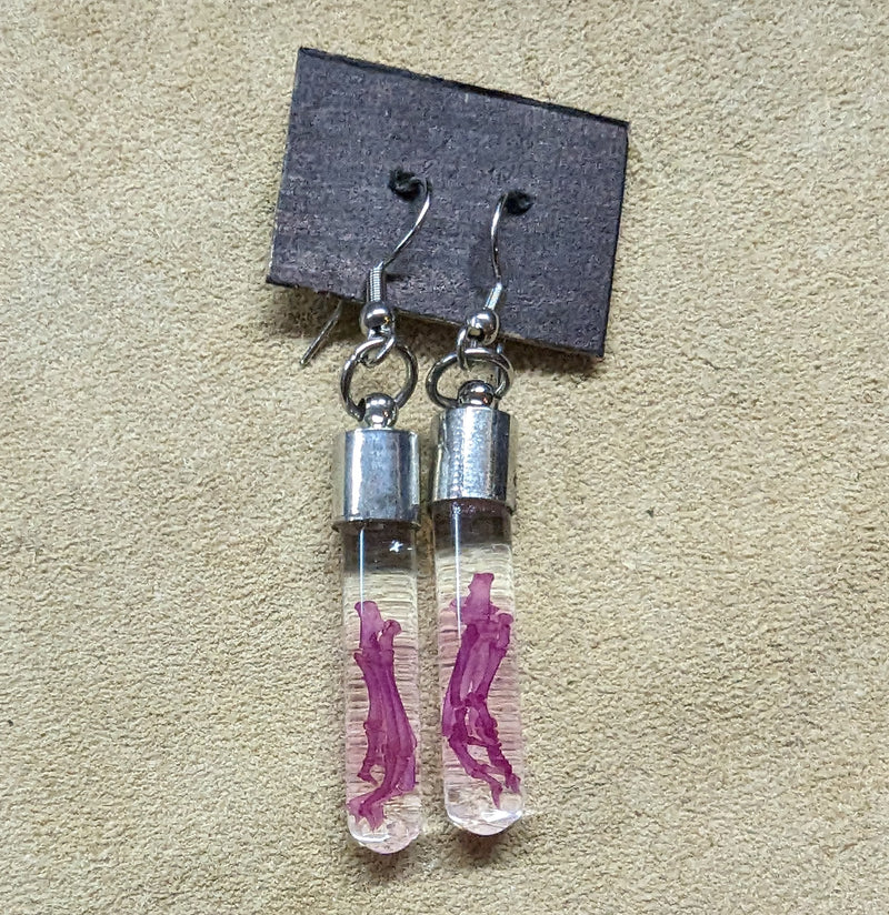 Diaphonized Mouse Foot Earrings - Paxton Gate