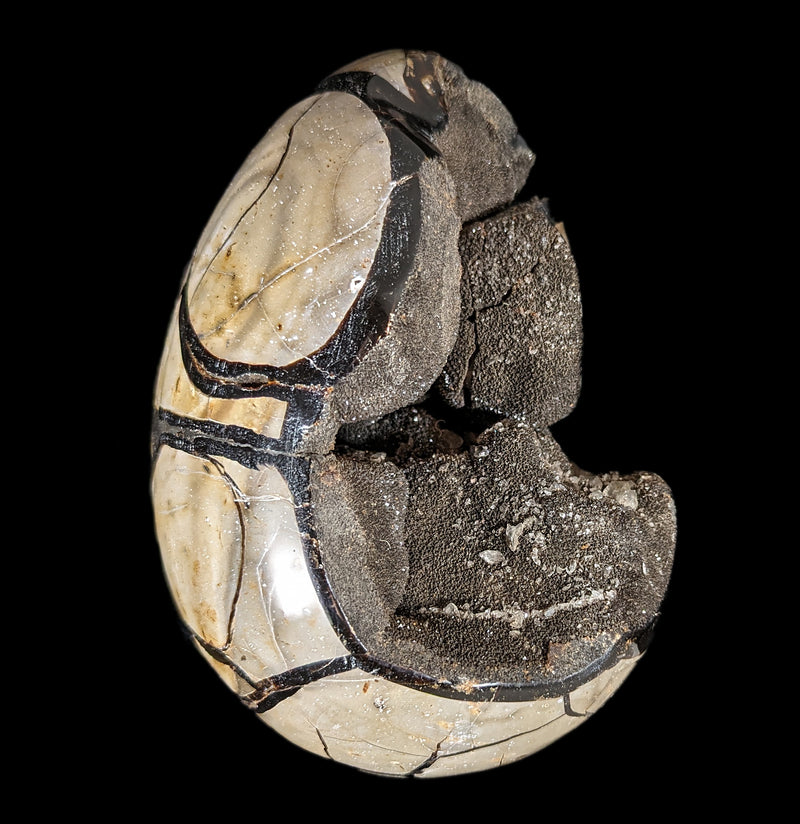 Septarian Dragon Egg-Minerals-Driftstone Pueblo-PaxtonGate