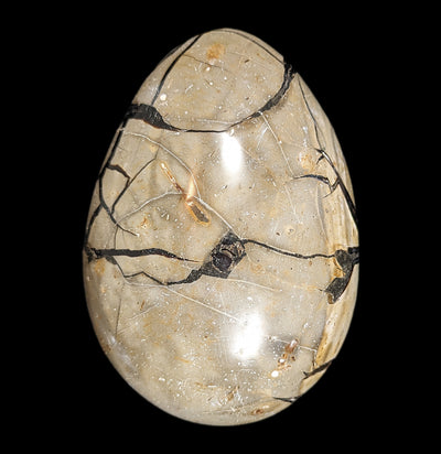 Septarian Dragon Egg-Minerals-Driftstone Pueblo-PaxtonGate