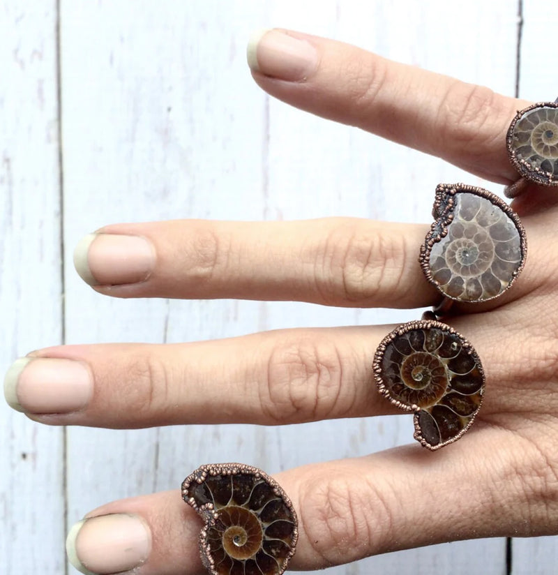 Electroformed Ammonite Ring - Paxton Gate