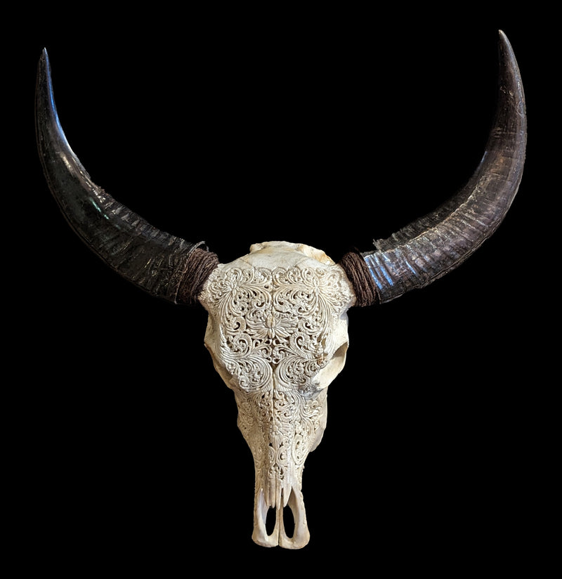 Carved Lotus Water Buffalo Skull - Paxton Gate