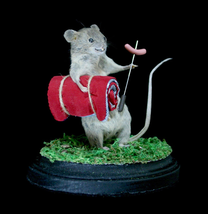 Camper Mouse Taxidermy-Taxidermy-Classic mouse parade-PaxtonGate