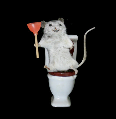 Toilet Mouse Taxidermy-Taxidermy-Classic mouse parade-PaxtonGate