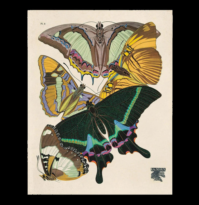 Vintage Séguy Butterfly 8 Print-Prints-Curious Prints-PaxtonGate