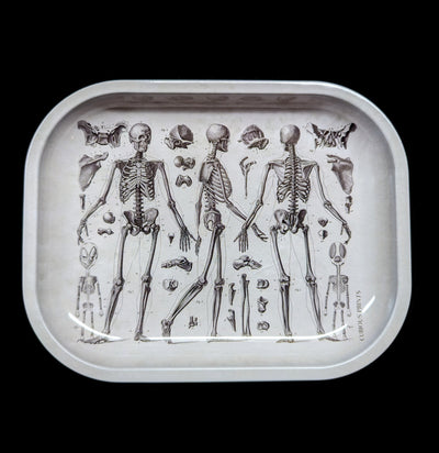 Small Metal Skeleton Diagram Ritual Tray-CaseBwlBox-Curious Prints-PaxtonGate