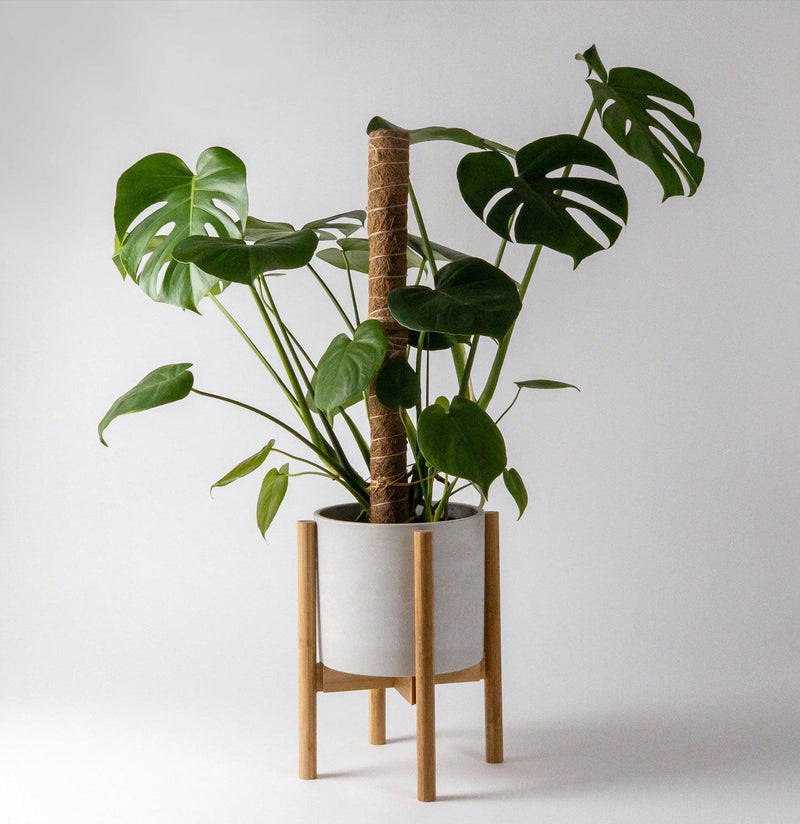 Adjustable Bamboo Plant Stand-Pots&Mntg-Kanso Designs-PaxtonGate