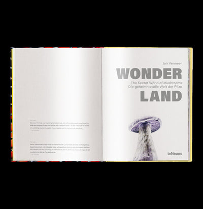 Wonderland: The Secret World of Mushrooms - Paxton Gate
