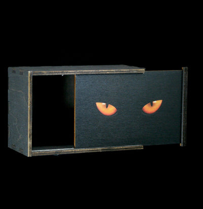 Cat Eyes Tarot Card Stash Box-CaseBwlBox-Most Amazing-PaxtonGate