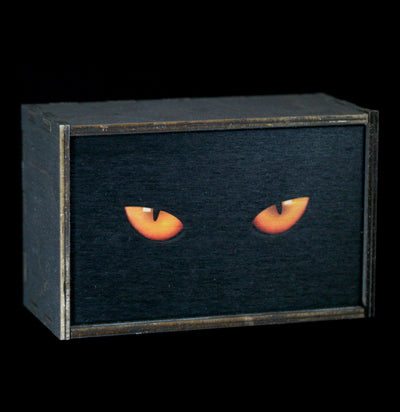 Cat Eyes Tarot Card Stash Box-CaseBwlBox-Most Amazing-PaxtonGate