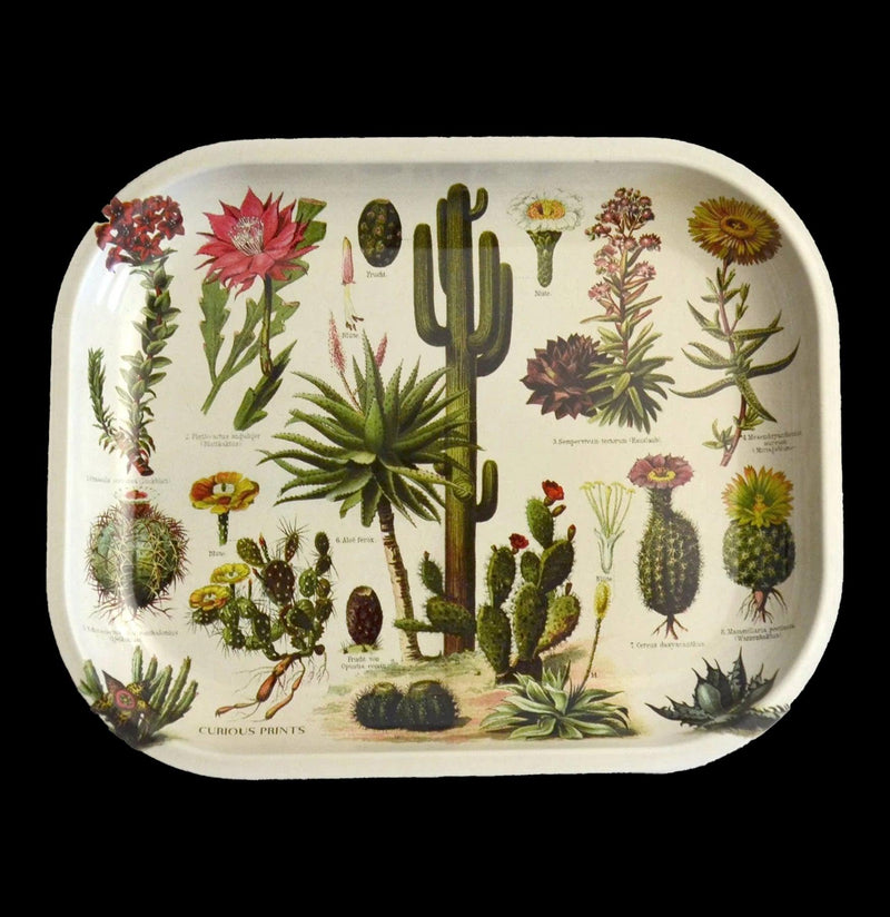 Small Metal Cactus Ritual Tray-CaseBwlBox-Curious Prints-PaxtonGate